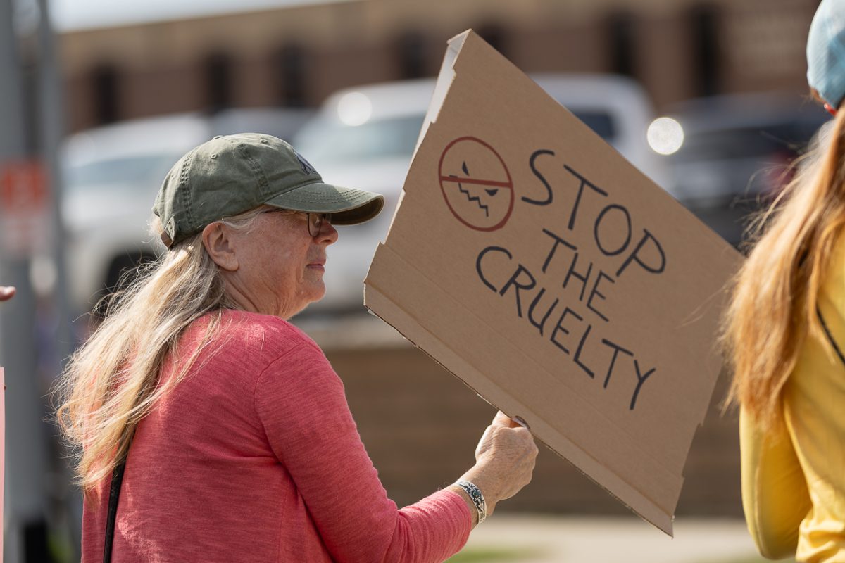 Protester at the Waverly, Iowa No Kings Protest holds a sign that says “STOP THE CRUELTY.”   Photo by Ali Parkhurst