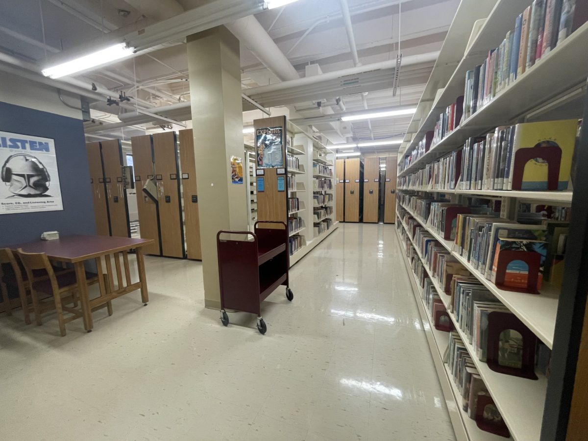 The junior and young adult section in Vogel Library, including both fiction and non-fiction materials
